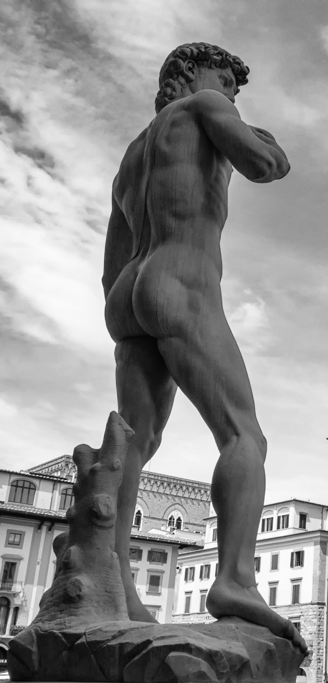 ANASTASIS EXOSOMES & AI4ARTHROSIS προνομιακή τιμή 70€